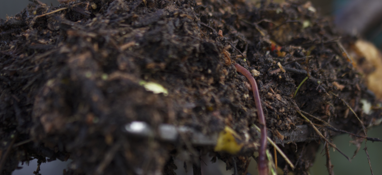 Composting © Serge Chabert