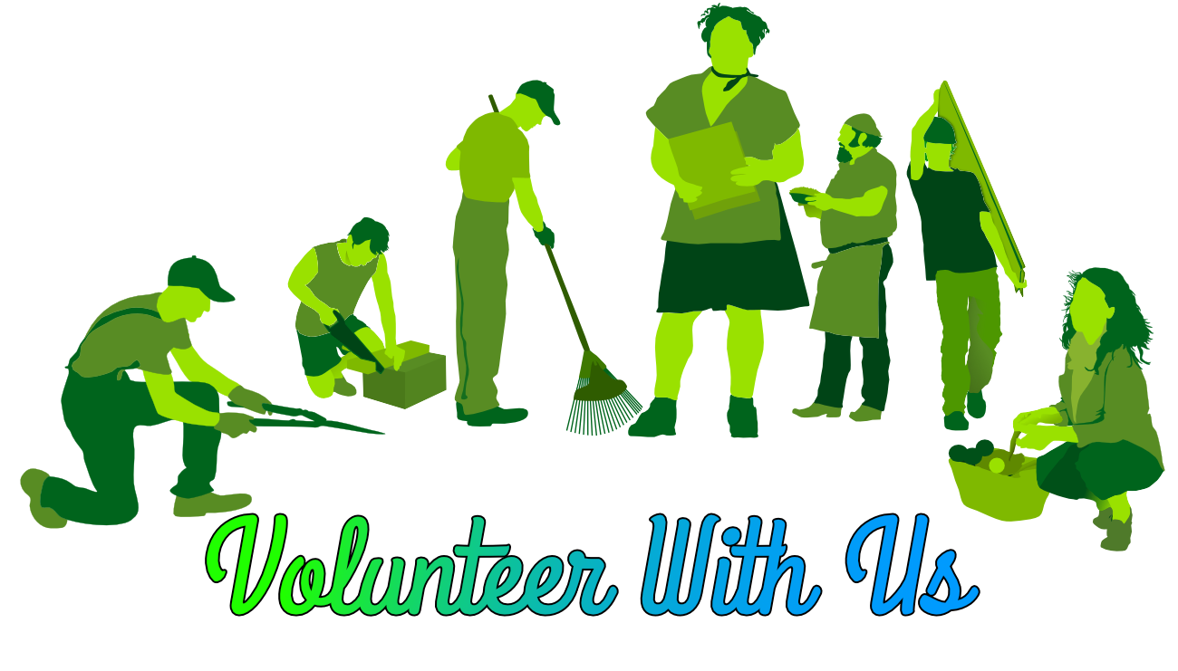 Volunteer with us